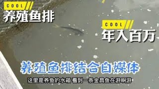 疫情过后，什么行业最赚钱！自媒体加养殖鱼排让你年入百万！
