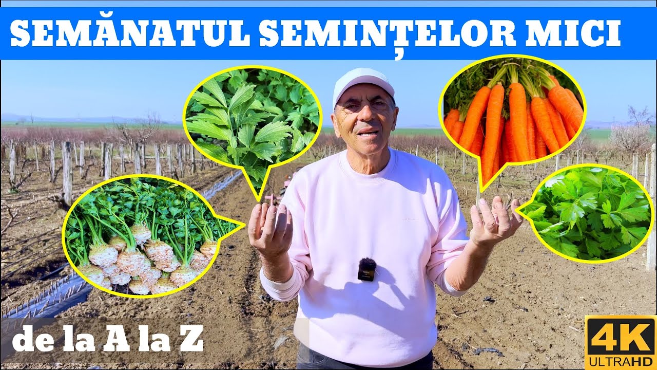 Cum Semanam si Udam: Leusteanul, Mararul, Patrunjelul si altele?