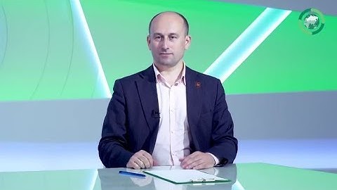 Восстание левых эсеров в Москве. Николай Стариков