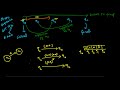 TOC 14 Repetition of States & DFAs for Infinite Languages