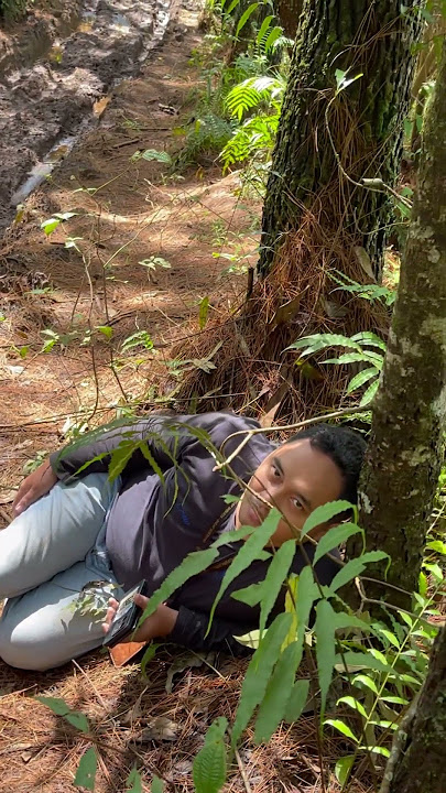 Hayati Lelah, Letih, Lesu