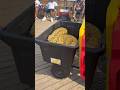 🐍 Exotic Snakes at Coney Island! You Won’t Believe These Reptiles 😲