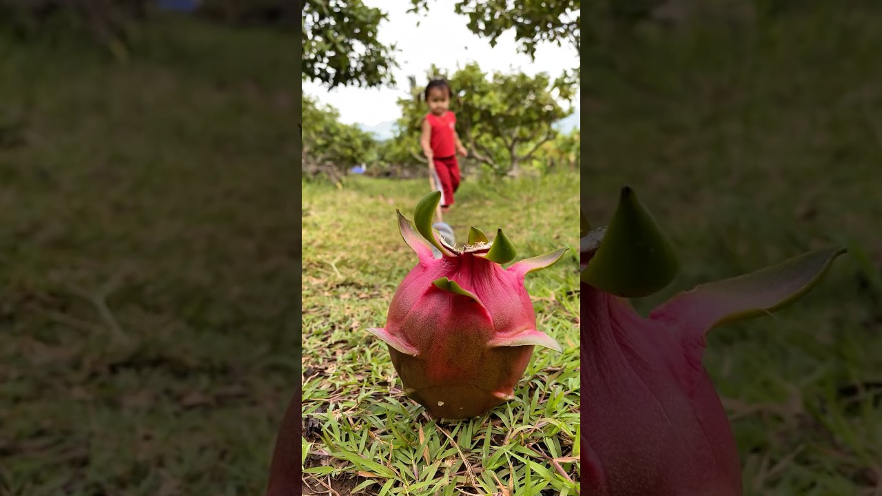 Survival Skills: SMART idea and USEFUL with Dragon in forest 