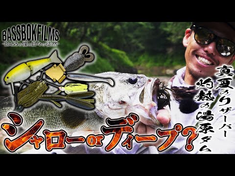 真夏のリザーバー・灼熱の【湯原ダム】！シャローorディープ？BassBok Films 鈴木裕介 ＃ノリーズ ＃バス釣り ＃岡山