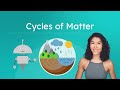 Cycles of Matter and Life on Earth