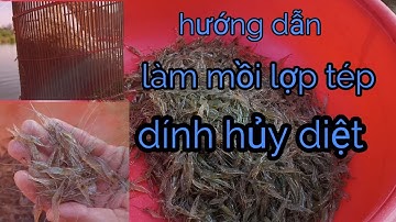 cách làm mồi lợp tép truyền thống.dính hủy diệt