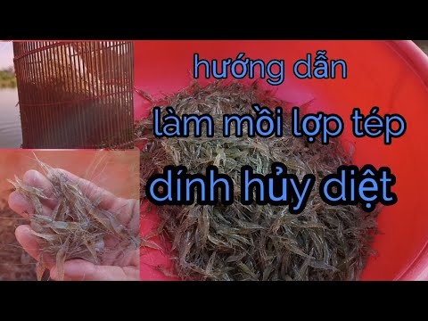 Video: Cách Làm Một ống Khói đồng Trục Bằng Tay Của Chính Bạn: Yêu Cầu Lắp đặt, Cài đặt, Vận Hành, V.v