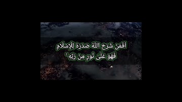 سورة الزمر الآية 22