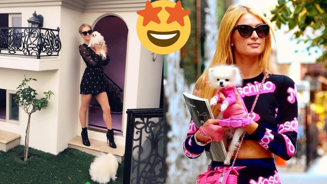 Funny Celebrity Pets | 😺🐶 Part 5: Pets of Paris Hilton – everything you need to know
