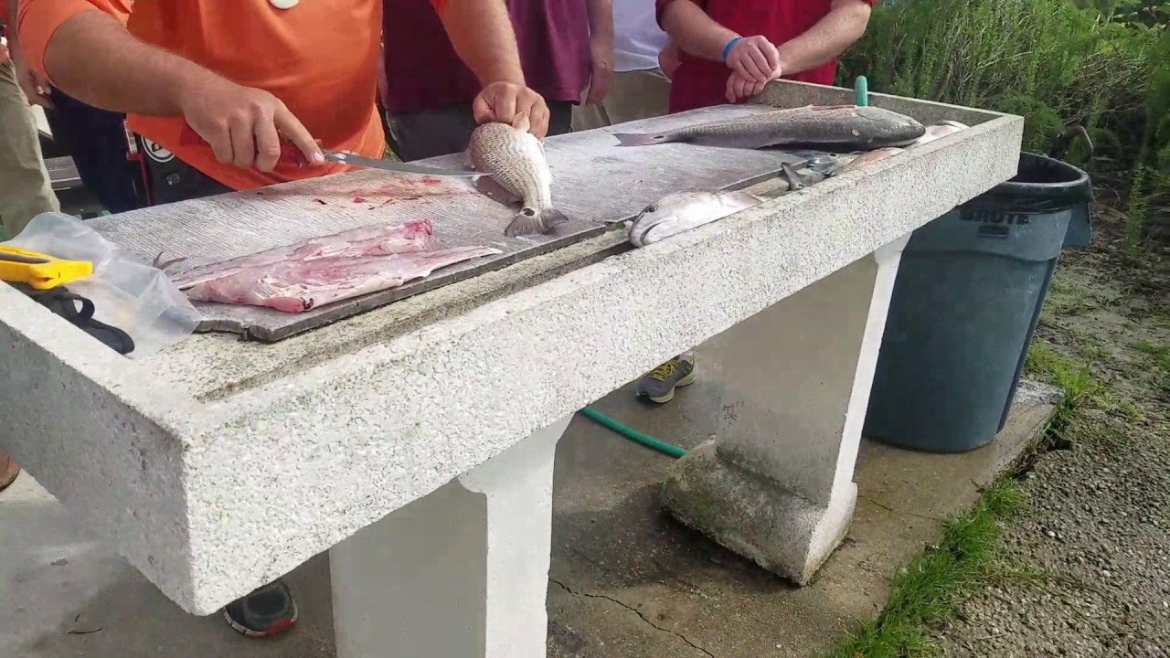 Cleaning Redfish caught in the Atlantic Ocean with Docowen