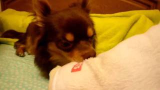 20110504 1