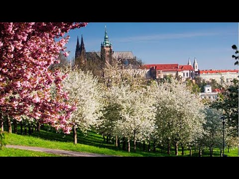 Видео: Прага е град за влюбени