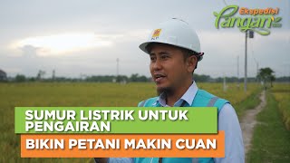 Gantikan Diesel dan Gas, Listrik PLN untuk Irigasi Sawah Bikin Petani Lebih Cuan