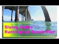 Diving Huntington Beach Pier, Orange County California !