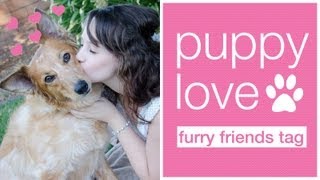 Puppy Love - Furry Friends Tag