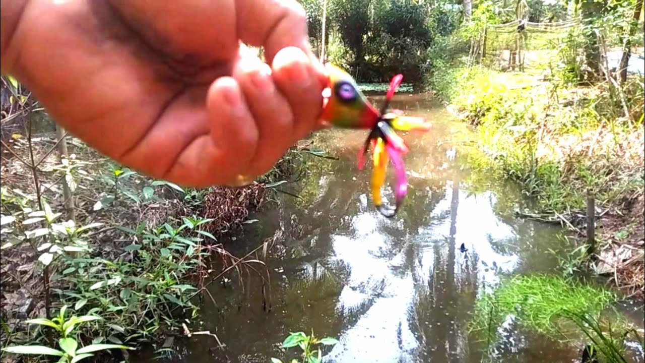 TEST ACTION JAWS FROG mini 2.7CM ARTA LURE 