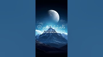 سورة الحشر #قرآن #قران_كريم #راحة_نفسية #الحشر #راحة #سورة