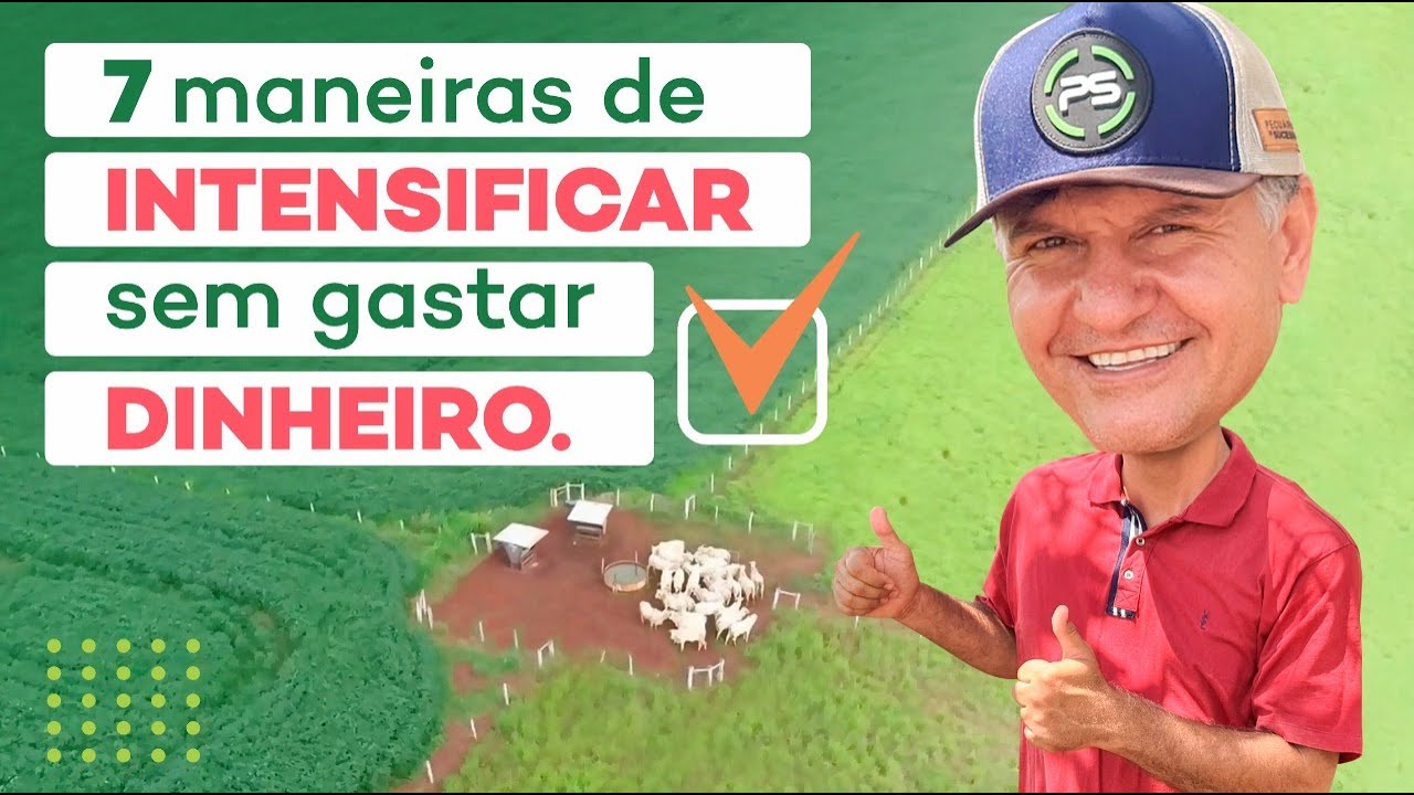 VEJA 7 MANEIRAS DE INTENSIFICAR SEM GASTAR DINHEIRO.