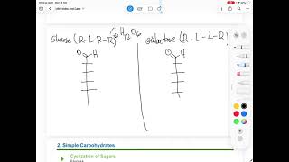 Biochemistry for medical students (Carbohydrate) Ep5