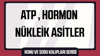 Atp , Nükleik Asitler Ve Hormonlar
