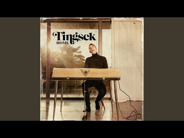 Tingsek - I Won't Look Any Further