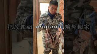 哥哥回来那不得杀只鸡补补，这老母鸡真香。我哥一会来就给嫂子寄蔬菜，看来家里蔬菜确实健康好吃。忙忙碌碌的一天又过去了。#抖音记录农村生活 #田园生活 #提前感受一下安徽过年的氛围吧 #新鲜蔬菜  #过