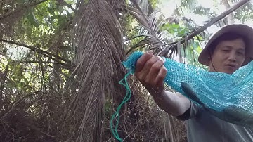 Đi thăm mười hai cửa ngục dính cá mắt ghiền/ Thằng phèn