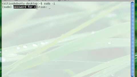 Ubuntu Linux: root without root password