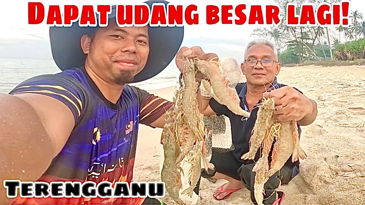 AJAK AYAH MERTUA MENJALA TIBA-TIBA DAPAT UDANG BESAR BAS! | Traditional Cast Net Fishing