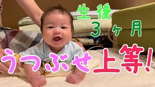 【保育】3か月の赤ちゃんが好きな遊び