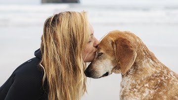 This Wild Idea: Landing Commercial Work Through Personal Projects