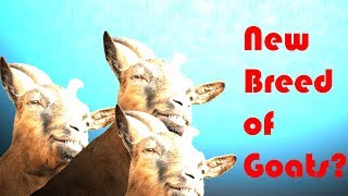 New breed of Goat??? Let's Goat - Goat Simulator screenshot 1