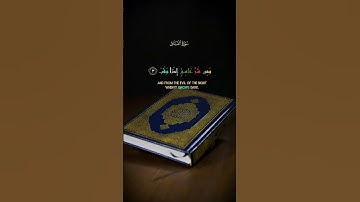 سورة الفلق #قرآن #اكسبلور #قصص_القرآن #اسلاميات #صوت_خاشع #تلاوة #قرأن