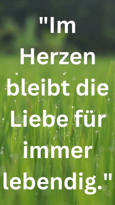 Im Herzen bleibt die Liebe für immer lebendig. trauer sprüche zitate