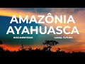 AYAHUASCA | DOCUMENTÁRIO | CANAL FUTURA | GLOBOSAT | HD