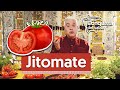 A la conquista del sabor, Jitomate