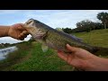 Gonzo Goes Fishing Ep. 18 &quot;Bass Fishing The Abandoned Bobby Jones Golf Course&quot;