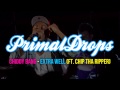 Chiddy Bang - Extra Well (Swelly) (Ft. Chip The Ripper)