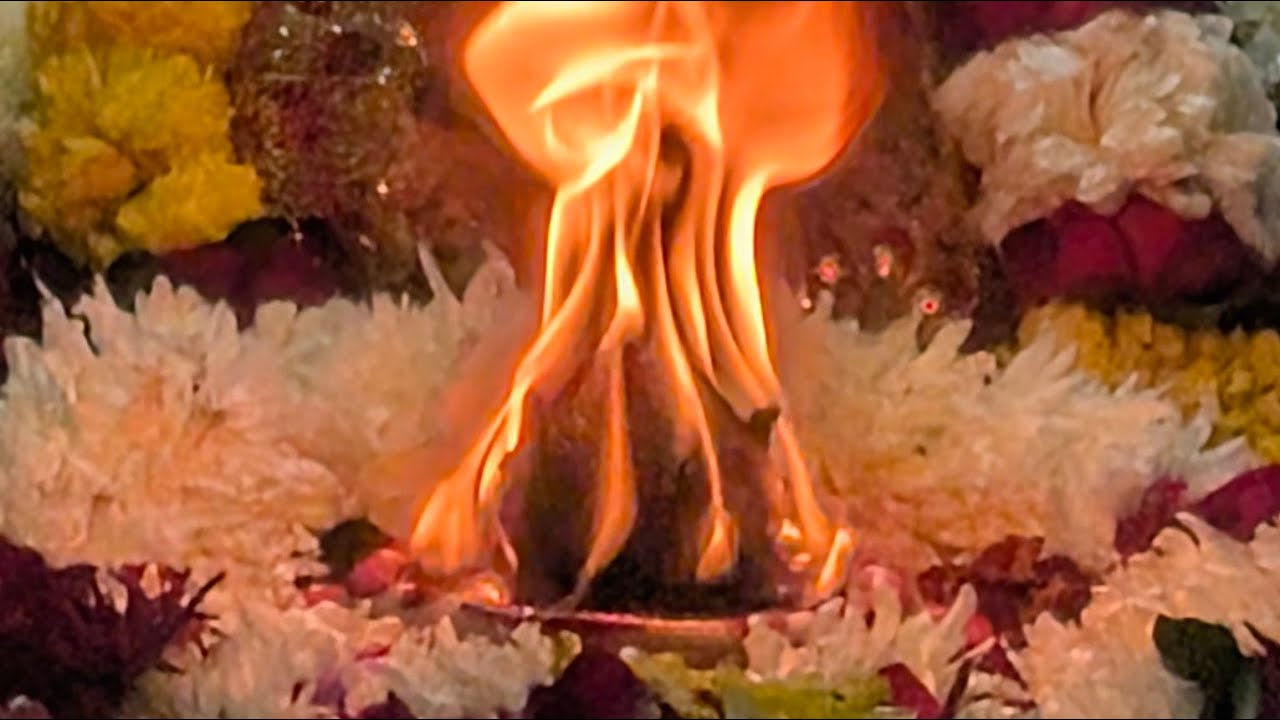 Ardaas vaishno devi Yatra 2025