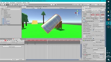 Unity animation bug (2018.3.9f1)