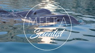 Dolphin Kin Recognition Study - Dolphin Quest Bermuda