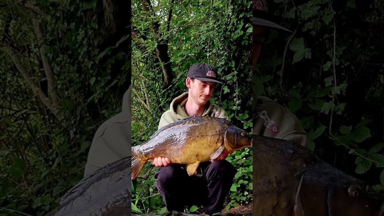 Another crab munching Yately mirror! 