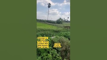 plot for sale / plot in patna #shorts #plotforsale #plot #property #propertyinpatna