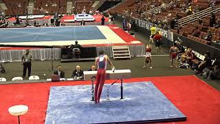 Evan Davis - Pommel Horse - 2017 P&G Championships Junior Men Day 1