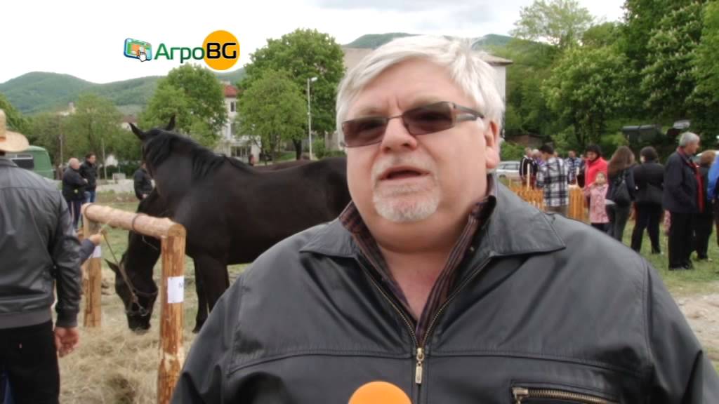 Фестивал на местните породи животни в Чипровци