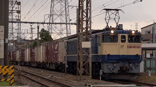 【小田栄踏切を通過する77レ】JR貨物 EF65 2074号機+コキ20B 新A65仕業[77レ] 隅田川行 小田栄駅通過！