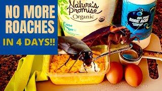 BEST WAY TO KILL ROACHES: How to Get Rid of Cockroaches home Remedies ( With Boric Acid)