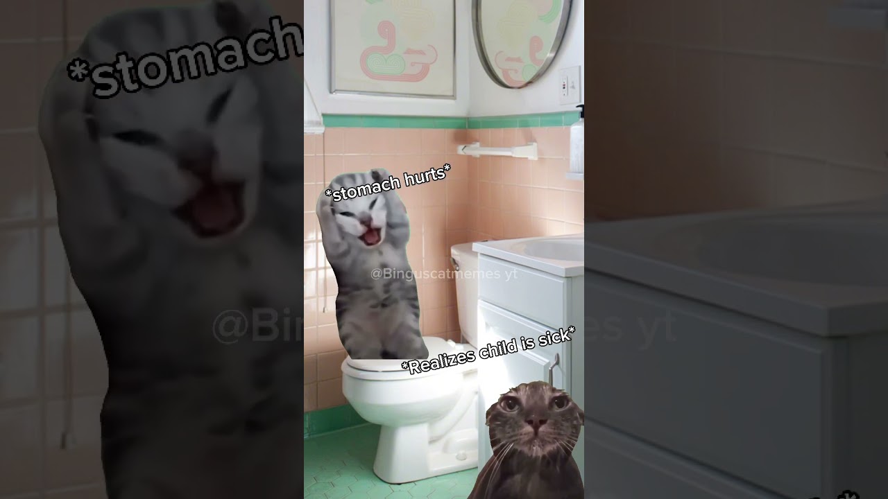 Stages of getting sick part 1 