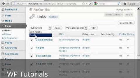 Video 37   Clean Up A New WordPress Blog