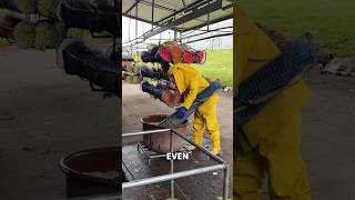 Why Farmers Dont Smell Roses